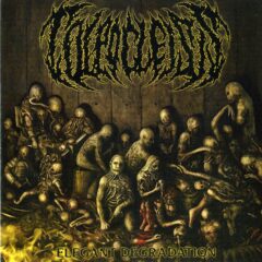 Colpocleisis - Elegant Degradation