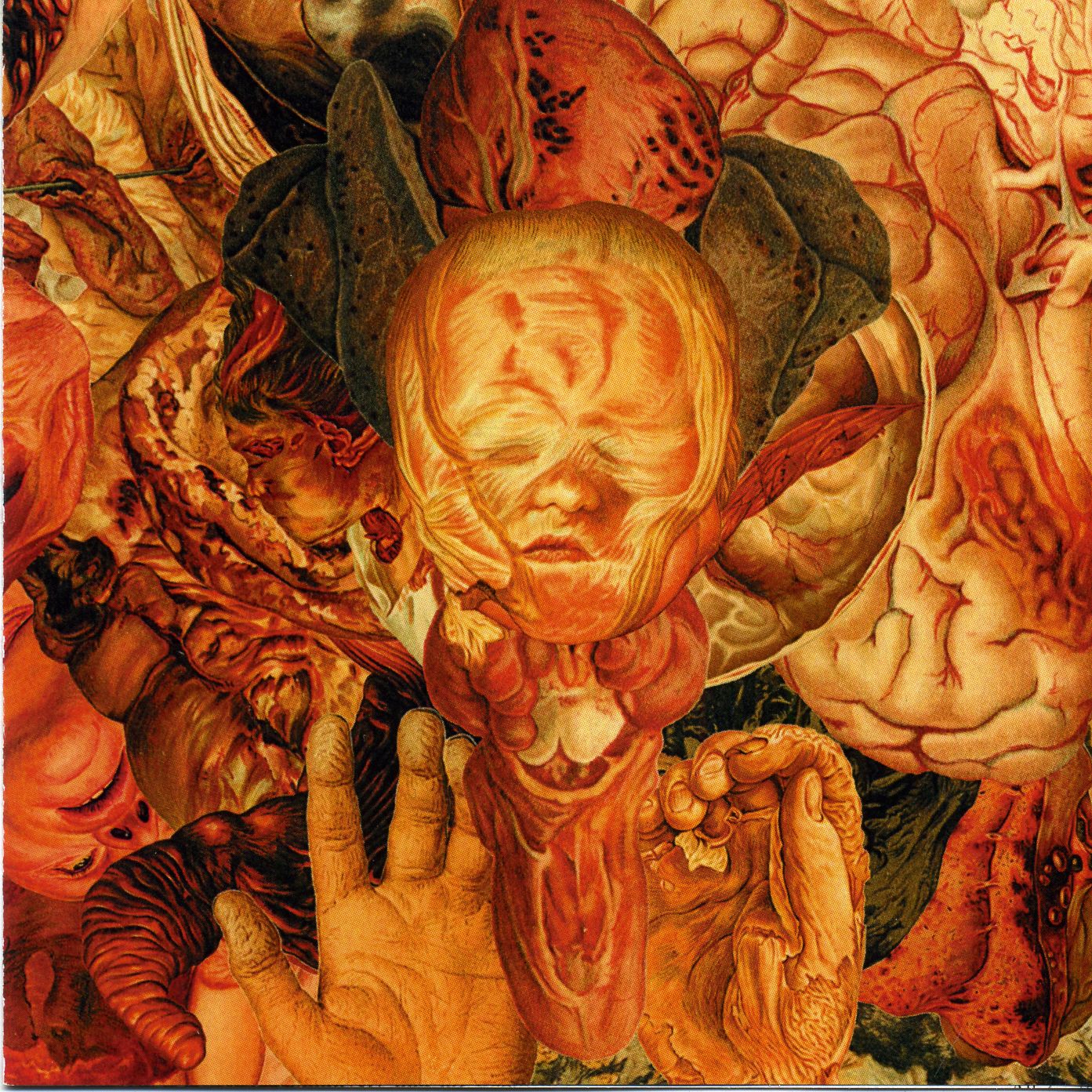 FesterDecay - Reality Rotten To The Core FesterDecay - Reality Rotten To The Core