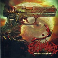 First Degree Murder - Anomalous Hallucinations