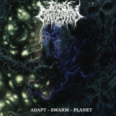 Flesh Configuration - Adapt Swarm Planet