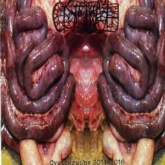 Cystgurgle - Cystography 2014-2018