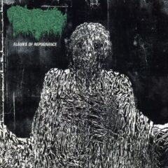 Cryptic Rising - Elegies Of Repugnance