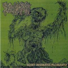 Fulminate - Agony Resonates Pleasantly