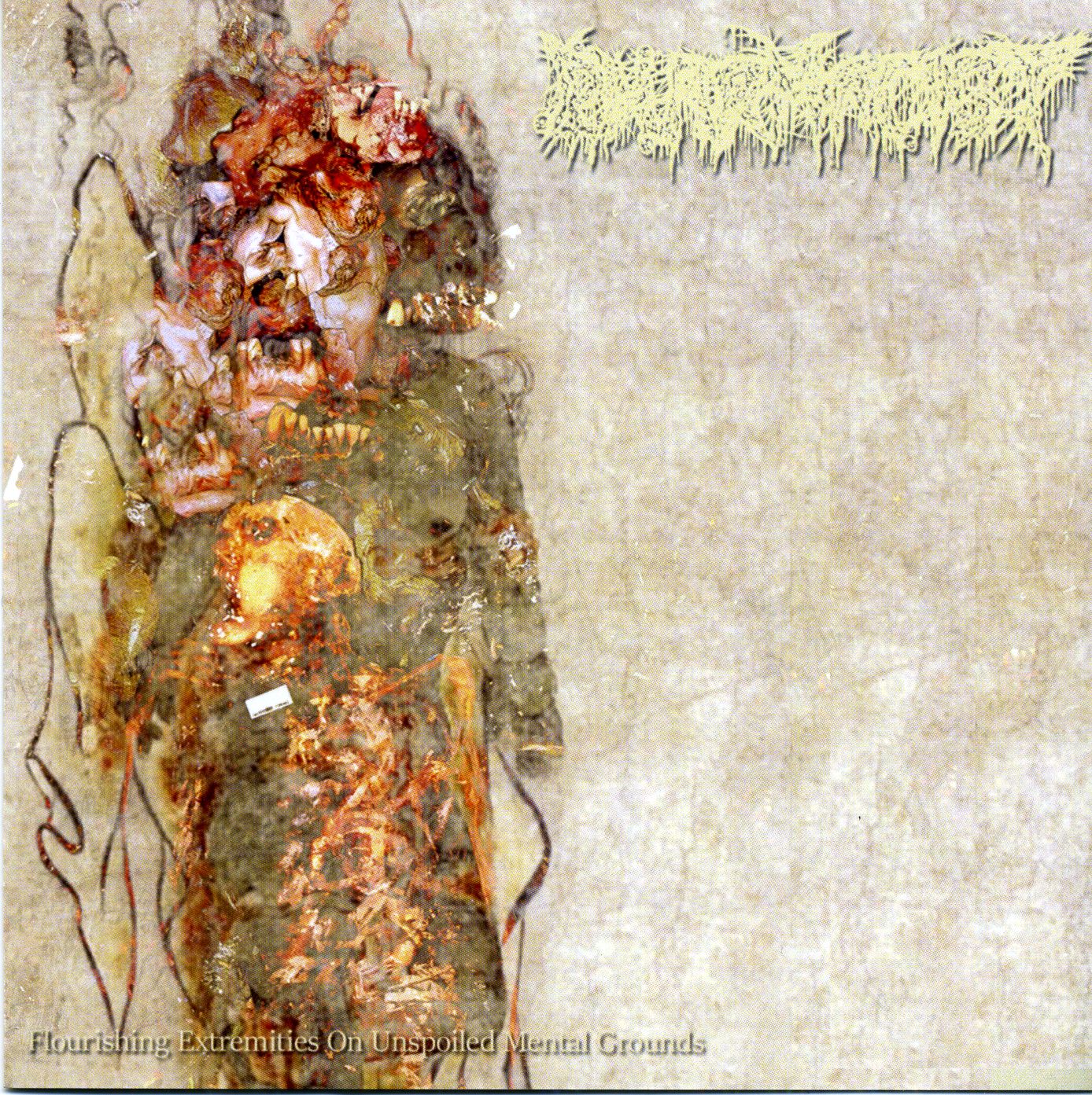 Pharmacist - Flourishing Extremities On Unspoiled Mental Grounds (12" LP) Pharmacist - Flourishing Extremities On Unspoiled Mental Grounds (12" LP)