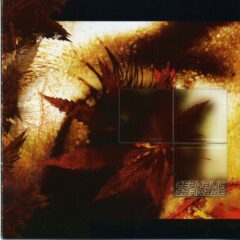 Cephalic Carnage - Conforming To Abnormality Cephalic Carnage - Conforming To Abnormality