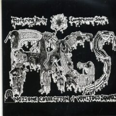 Festering Recto Gangrenous Slime - Noisome Collection Of Vomitous Sound