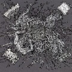 Golem Of Gore / Human Pancake / Yakisoba / Serotonin Leakage - The Ultimate Torture Of Modern Music