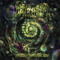 Ectoplasmorphosis - Vortex of Possessable Flesh