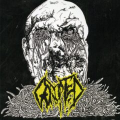 Gorupted - Gorupted