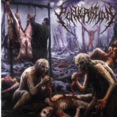 Perveration - Putrefaction of Infinite Apogee