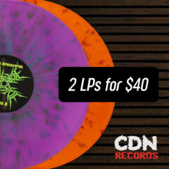 Graphic for 2 LP Bundle