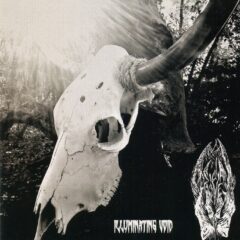 Obsidian Hooves - Illuminating Void