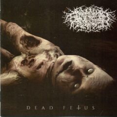 Pavyon Geceleri - Dead Fetus