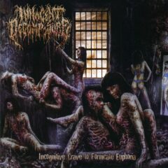 Innocent Decomposure - Incognitive Crave To Fornicate Euphoria