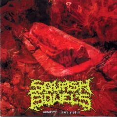 Squash Bowels - Dead​?​.​.​.​.​Not Yet​!​!​!