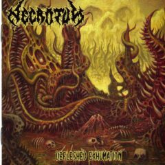 Necrotum - Defleshed Exhumation