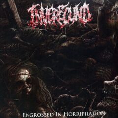 Inverecund - Engrossed In Horripilation