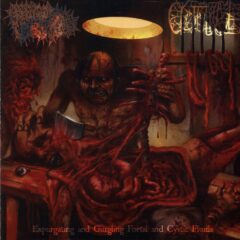 Foetal Fluids To Expurgate / Cystgurgle - Split CD