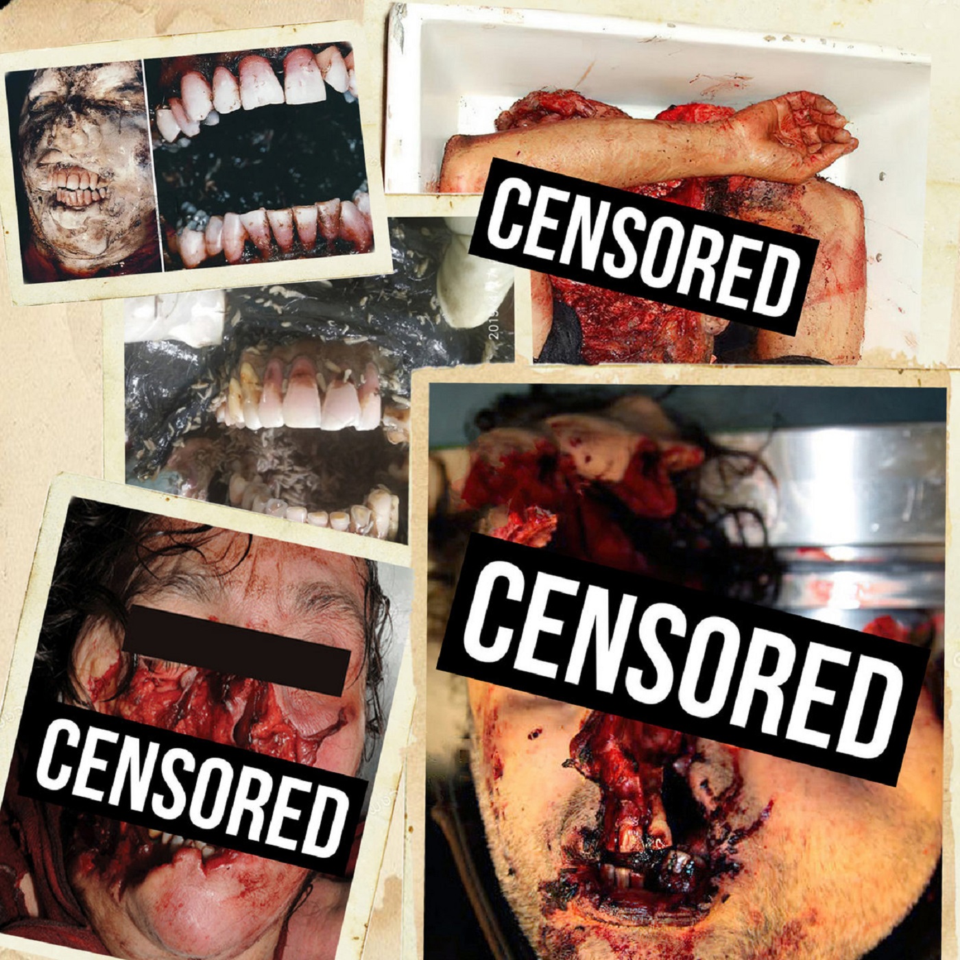 Gruesome Body Parts Autopsy / Pulmonary Fibrosis / Take That Vile Fiend - 3 Way Split Gruesome Body Parts Autopsy / Pulmonary Fibrosis / Take That Vile Fiend - 3 Way Split