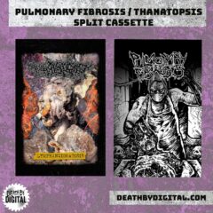 Pulmonary Fibrosis - Thanatopsis - Split (Cassette)