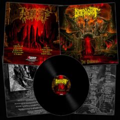 Deteriorot - The Rebirth (LP)