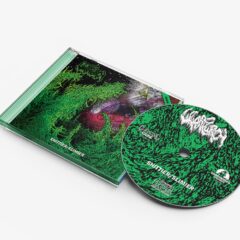 Wharflurch - Shittier / Slimier Wharflurch - Shittier / Slimier