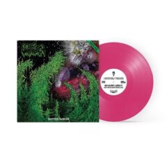 Wharflurch - Shittier / Slimier (Magenta LP) Wharflurch - Shittier / Slimier (Magenta LP)
