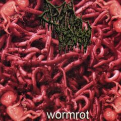 Drain of Impurity - Wormrot Drain of Impurity - Wormrot