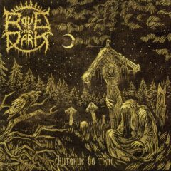 Rove In The Dark - Wandering in the Dark Rove In The Dark - Wandering in the Dark
