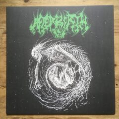 Afterbirth – Brutal Inception (LP - Black Vinyl)