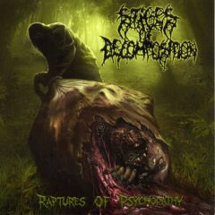 Stages of Decomposition - Raptures of Psychopathy