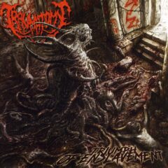 Traumatomy - Triumph Of Enslavement