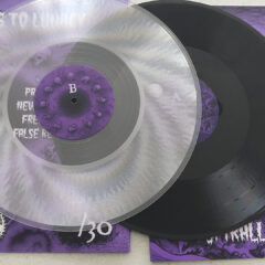 Dead Soul Alliance - Spiralling To Lunacy (LP - Clear)