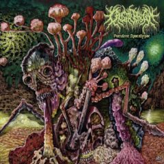 Caustic Phlegm - Purulent Apocalypse (LP - Neon Green Swirl) Caustic Phlegm - Purulent Apocalypse (LP - Neon Green Swirl)