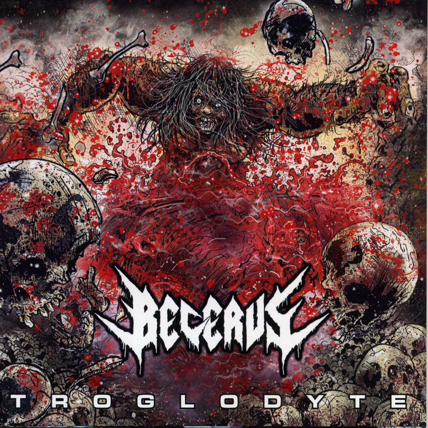 Becerus - Troglodyte Becerus - Troglodyte