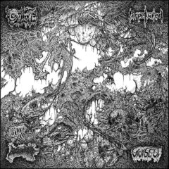 Oxalate / Perpetuated / Blood Spore / Vivisect - 4 Way Split Oxalate / Perpetuated / Blood Spore / Vivisect - 4 Way Split