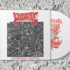 Phobophilic - Undimensioned Identities Phobophilic - Undimensioned Identities