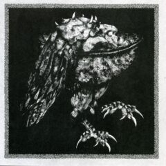 Nekrodeus - Ruaß Nekrodeus - Ruaß