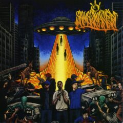 Shmegmaster - Welcome To Shmeg City