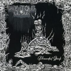 Cadaverous Odour - Primordial Stench