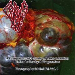 Corpus Luteum Cyst – A Comprehensive Study Of Deep Learning Methods For Cyst Diagnostic - Vol. 1