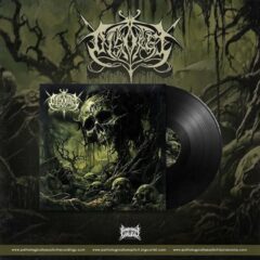 Disgorge - Disgorge (LP - Black)
