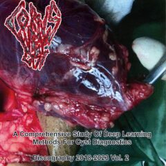 Corpus Luteum Cyst -A Comprehensive Study Of Deep Learning Methods For Cyst Diagnostic - Vol. 2