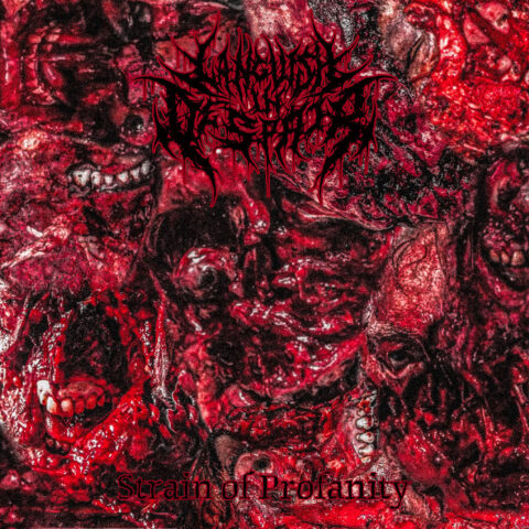 Languish In Despair - Strain of Profanity Languish In Despair - Strain of Profanity