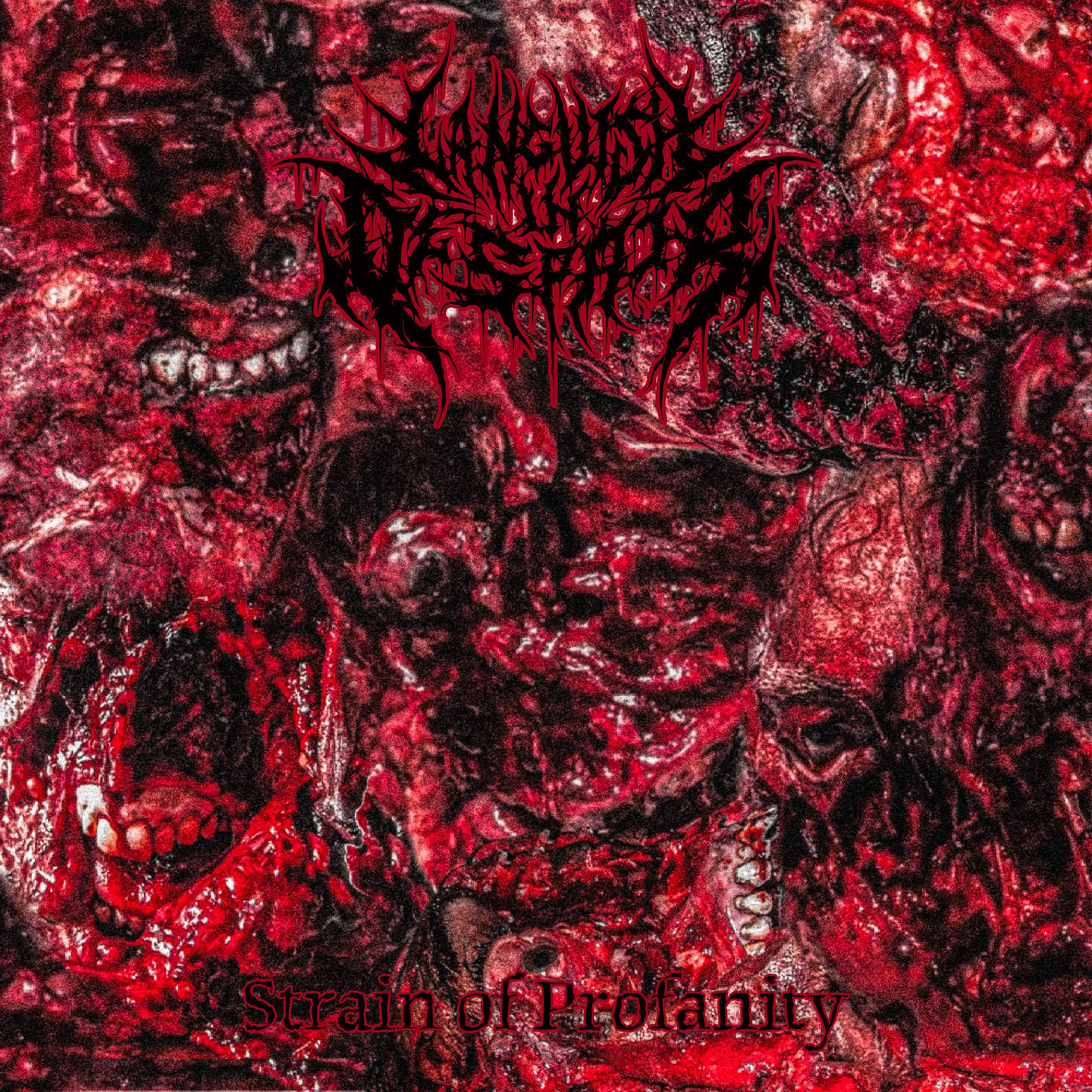 Languish In Despair - Strain of Profanity Languish In Despair - Strain of Profanity