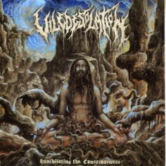 Vile Desolation - Annihilating the Consciousness