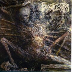 Fossilization - Advent of Wounds