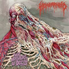Hemorrhoid - Raw Materials of Decay (LP - Black)