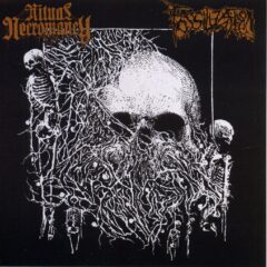 Ritual Necromancy / Fossilization - Split MCD