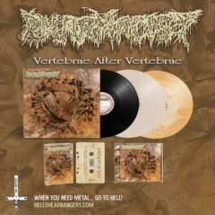 Pharmacist - Vertebrae After Vertebrae (LP)